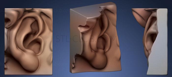 3D модель Ухо Микеланджело (STL)